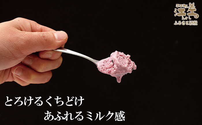 北海道産ミルク使用　江差産果実のアイスクリーム　アロニア【思いやり型返礼品】120ml×6個　「とろけるくちどけ　あふれるミルク感」