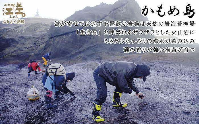 【先行予約 全サイト計10セット限定出品！3月配送】かもめ島の岩海苔〈天然・無添加・手摘み手打ち〉全形10枚　数量限定　北のハイグレード食品2022選定「江差名産 黒のり」　希少な「天然岩ノリ」だけで漁師が手作り　最高級の生干し板海苔　漁師めし　絶品海苔弁当　最高のおにぎり　国産海藻　北海道日本海