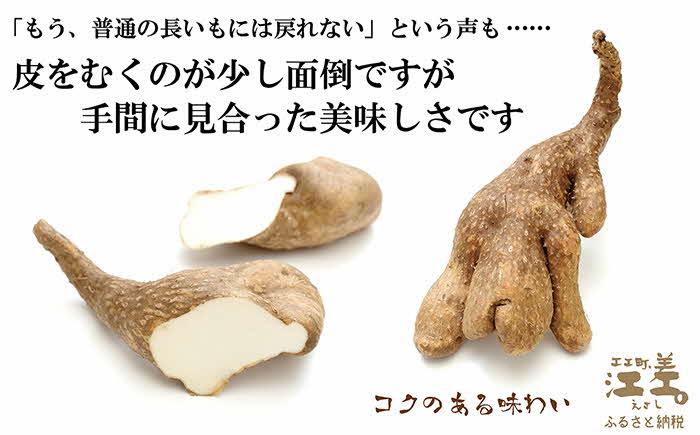 【早期予約！10月順次出荷予定】北海道産 ひらいも  3kg　砂質土育ち とっても粘りが強い 北海道の山芋　もちもち食感　露地もの　無漂白　ねばり芋　やまと芋　長芋　自然薯　山かけ　とろろ　いももち　豚汁