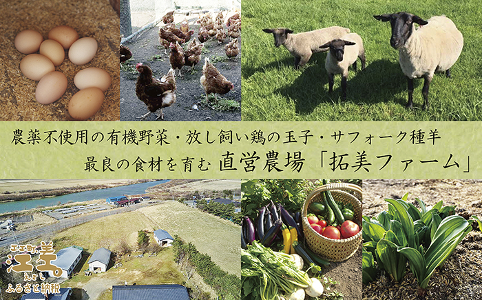 《江差旅庭 群来（くき）》ふるさと納税 宿泊ギフト券［50,000円分］　割引クーポン　北海道の高級旅館　大人の隠れ家　源泉かけ流し天然温泉宿　個室温泉付き客室　直営農場の平飼い卵・サフォーク羊・野菜山菜　船買いの新鮮魚介　山海の幸を活かす創作料理　温泉熱を利用した暖房給湯　食と環境にこだわった7部屋限定の癒しの宿