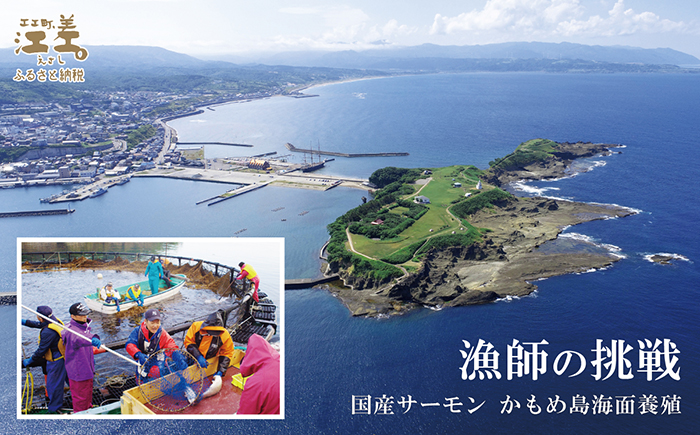 北海道産 サーモンの三種セット ルイベ〈冷凍刺身〉お刺身用ブロック・切り身［塩］・切り身［無塩］ 各3個 計9個　日本海 かもめ島海面養殖　純国産 ブランドサーモン『江さしっ子 繁虎』　とろける脂　活締め　浜のかあさん手作り　冷凍　小分け　個包装　トラウトサーモン　刺身　サーモンステーキ　カルパッチョ　焼き魚　ムニエル　ソテー　フライ　海鮮　鮭　塩鮭　さけ　シャケ　しゃけ　さーもん　保存料不使用