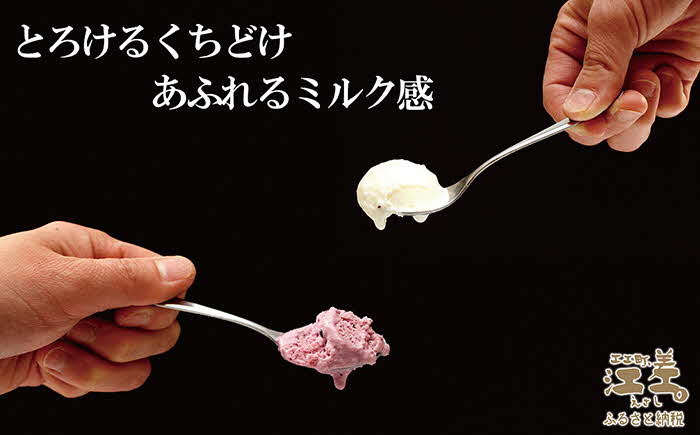 北海道産ミルク使用　江差産果実のアイスクリーム　アロニア＆キウイフルーツ【思いやり型返礼品】各120ml×3個（計6個）　「とろけるくちどけ　あふれるミルク感」