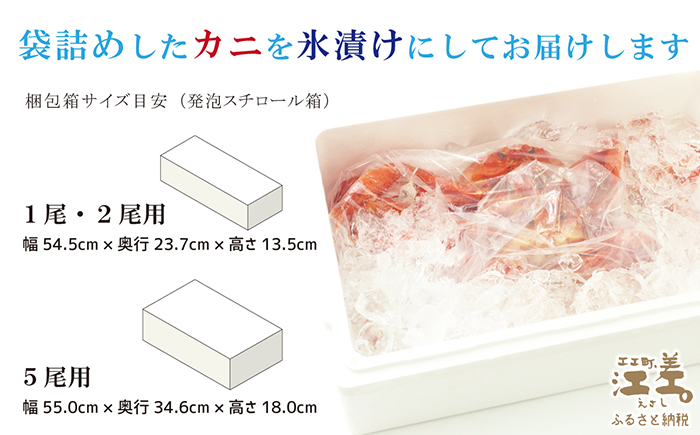 ＼10尾限定！早期予約・2026年3〜4月限定出荷／生発送！【特大〈極〉】『北海道北前蟹』タグ付き特選 約1kg（冷蔵）　年にひと月だけの期間限定「生」出荷　北海道日本海産紅ずわいがに　カニかご漁師直販　厳格な鮮度管理　新鮮　甘くてジューシー　活カニ　生蟹　かに刺し　焼き蟹　蒸し蟹　かにみそ　かにしゃぶ　かに鍋　国産ベニズワイ