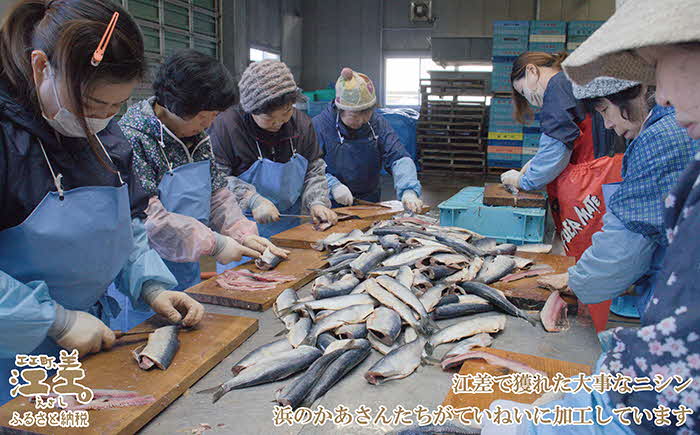 《数量限定》北海道産 江差前浜の塩かずのこ 400g【無添加・無漂白・無着色】　200g×2パック　10～12羽　保存料不使用　漂白剤不使用　安心安全　素材を生かした自然の味　国産　数の子　ニシン　松前漬け　おせち用　お正月