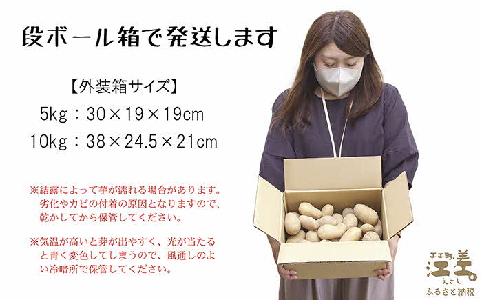 【早期予約：2026年7月頃〜順次出荷予定】砂質土育ち「夏」メークイン M・L混合5kg　露地もの　手掘り　江差産メークイン　北海道のじゃがいも　芋の塩煮　肉じゃが　カレー　シチュー　コロッケ　色々なお料理に　北海道産