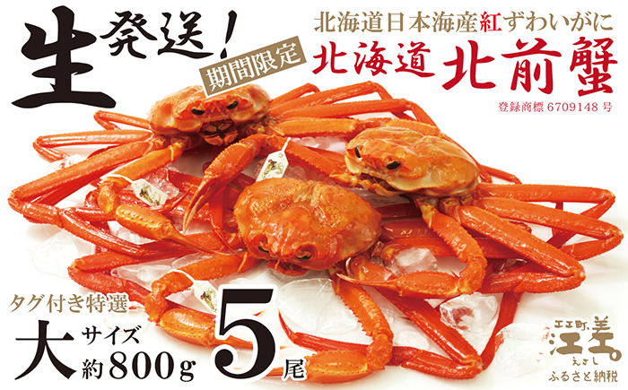 ＼早期予約・2026年3〜4月限定出荷／生発送！【大5尾】『北海道北前蟹』タグ付き特選 約800g×5尾（冷蔵）　年にひと月だけの期間限定「生」出荷　北海道日本海産紅ずわいがに　カニかご漁師直販　厳格な鮮度管理　新鮮　甘くてジューシー　活カニ　生蟹　かに刺し　焼き蟹　蒸し蟹　かにみそ　かにしゃぶ　かに鍋　国産ベニズワイ
