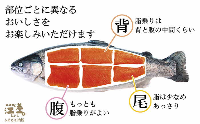 【数量限定】北海道産 サーモンのルイベ〈冷凍刺身〉お刺身用ブロック 12個　1尾分　小分けの食べ切りサイズ個包装　純国産ブランドサーモン『江さしっこ 繁虎』　「浜のかあさん」手作り　活締め加工　新鮮真空パック冷凍　保存料不使用　北海道江差産トラウトサーモン　刺身　カルパッチョ　マリネ