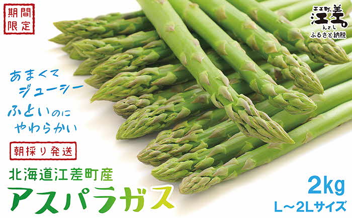 【令和7年発送予約】北海道江差町産 アスパラガス 2kg　L〜2Lサイズ　朝採り　農家直送　太いのに、やわらかい！　甘くて、ジューシー！　食べ応えばつぐん！　グリーンアスパラガス