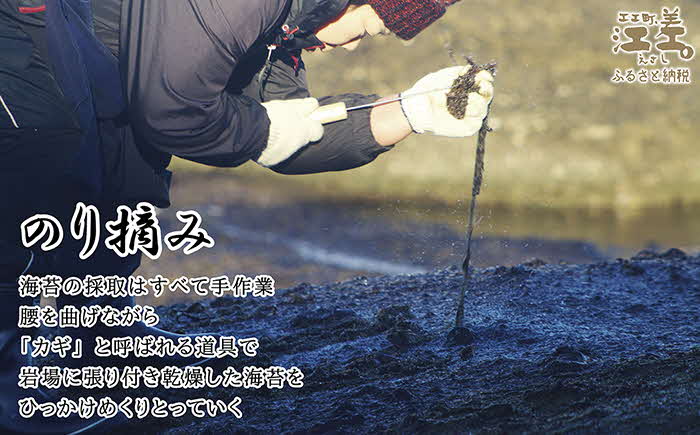 【先行予約 全サイト計10セット限定出品！3月配送】かもめ島の岩海苔〈天然・無添加・手摘み手打ち〉全形10枚　数量限定　北のハイグレード食品2022選定「江差名産 黒のり」　希少な「天然岩ノリ」だけで漁師が手作り　最高級の生干し板海苔　漁師めし　絶品海苔弁当　最高のおにぎり　国産海藻　北海道日本海