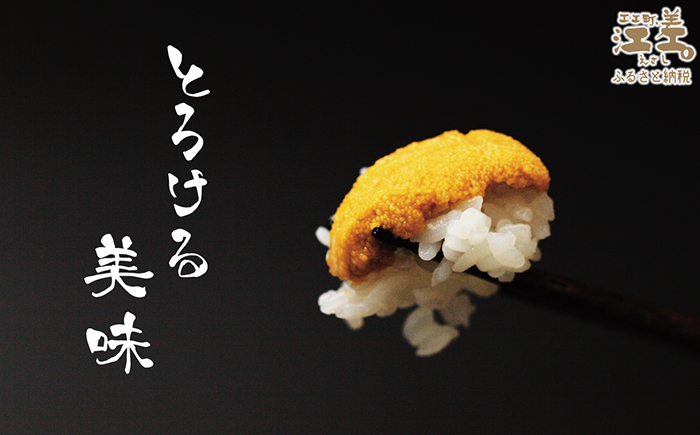 ＼2026年先行予約／北海道 江差前浜産 生うに 100g【天然・無添加・みょうばん不使用】令和8年　江差産キタムラサキウニ　日本海熊石産海洋深層水　塩水ウニ　素材を生かした自然の味　国産うに　雲丹　100グラムパック個包装