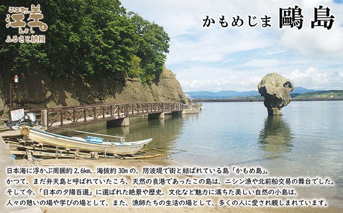 かもめ島特産 手摘み 「天然もずく」 400g（200g×2）　無添加　日本海　ミネラル　低カロリー　天然海藻　無着色　安心安全　シャキシャキ食感