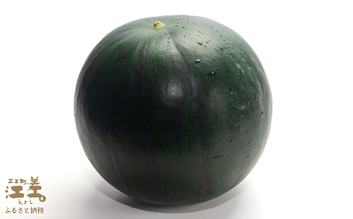 【2026年8月下旬発送開始】【訳あり】北海道産 黒皮 深味すいか  中玉 5.5kg以上 1玉  有機農産物（JAS認証）　高糖度　化学農薬不使用　オーガニック　有機農業　スイカ　すいか　西瓜　 高級西瓜　黒皮すいか　黒玉スイカ　フルーツ　果物　くだもの 　B品　規格外