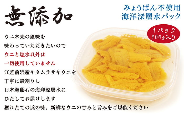 ＼2026年先行予約／北海道 江差前浜産 生うに 100g【天然・無添加・みょうばん不使用】令和8年　江差産キタムラサキウニ　日本海熊石産海洋深層水　塩水ウニ　素材を生かした自然の味　国産うに　雲丹　100グラムパック個包装