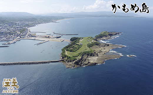 ＼配送時期指定可／北海道かもめ島特産 とった漁師が自らつくる こだわりのほっけの開き 大サイズ 2枚　約30cm～35cm 300g以上　食べごたえあり　甘塩　漁師直送　北海道日本海のホッケ　一夜干し　魚の干物　国産