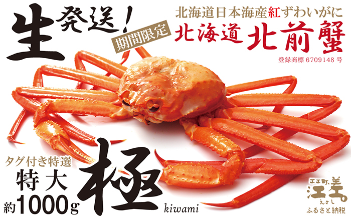 ＼10尾限定！早期予約・2026年3〜4月限定出荷／生発送！【特大〈極〉】『北海道北前蟹』タグ付き特選 約1kg（冷蔵）　年にひと月だけの期間限定「生」出荷　北海道日本海産紅ずわいがに　カニかご漁師直販　厳格な鮮度管理　新鮮　甘くてジューシー　活カニ　生蟹　かに刺し　焼き蟹　蒸し蟹　かにみそ　かにしゃぶ　かに鍋　国産ベニズワイ