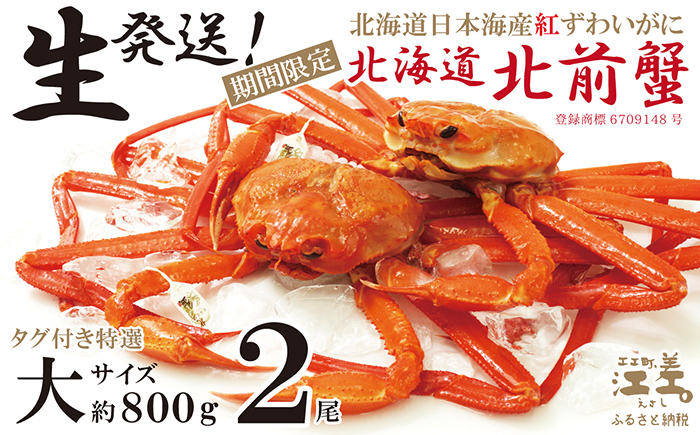 ＼早期予約・2026年3〜4月限定出荷／生発送！【大2尾】『北海道北前蟹』タグ付き特選 約800g×2尾（冷蔵）　年にひと月だけの期間限定「生」出荷　北海道日本海産紅ずわいがに　カニかご漁師直販　厳格な鮮度管理　新鮮　甘くてジューシー　活カニ　生蟹　かに刺し　焼き蟹　蒸し蟹　かにみそ　かにしゃぶ　かに鍋　国産ベニズワイ