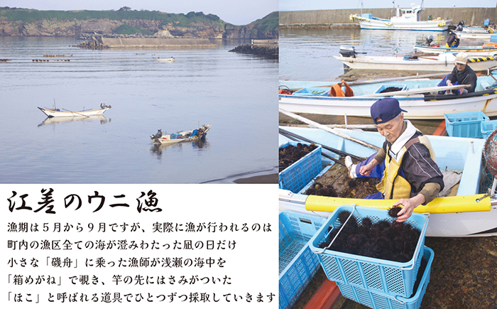 ＼2026年先行予約／北海道 江差前浜産 生うに 100g【天然・無添加・みょうばん不使用】令和8年　江差産キタムラサキウニ　日本海熊石産海洋深層水　塩水ウニ　素材を生かした自然の味　国産うに　雲丹　100グラムパック個包装