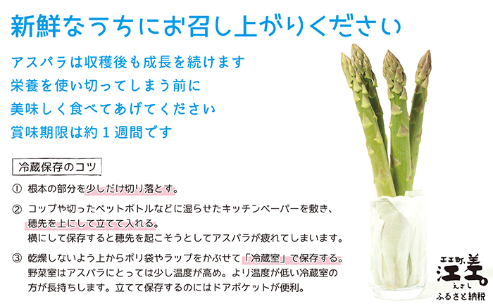 ＼春アスパラ 先行予約 2026年4月〜順次出荷予定／北海道江差町産 アスパラガス【S〜Mサイズ】 1kg　40〜50本　朝採り　農家直送　新鮮　鮮度保持　北海道　旬野菜　グリーンアスパラ　アスパラ　ギフト　贈答