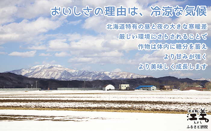 【早期予約 4月から春芽 順次発送】《訳あり》北海道江差町産アスパラガス 1kg【サイズ不揃い・規格外MIX】無選別・規格外・ハネ物・B品　朝採り直送　見た目は良くなくても鮮度や味は正規品と変わりません！　グリーンアスパラガス　旬の味覚　ご自宅用