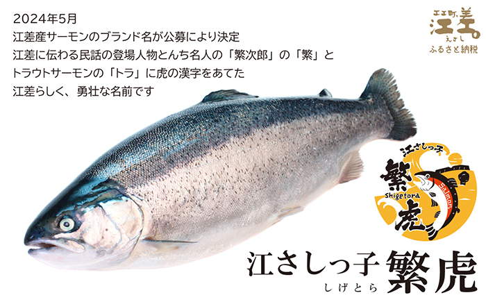 北海道産 サーモンの三種セット ルイベ〈冷凍刺身〉お刺身用ブロック・切り身［塩］・切り身［無塩］ 各3個 計9個　日本海 かもめ島海面養殖　純国産 ブランドサーモン『江さしっ子 繁虎』　とろける脂　活締め　浜のかあさん手作り　冷凍　小分け　個包装　トラウトサーモン　刺身　サーモンステーキ　カルパッチョ　焼き魚　ムニエル　ソテー　フライ　海鮮　鮭　塩鮭　さけ　シャケ　しゃけ　さーもん　保存料不使用