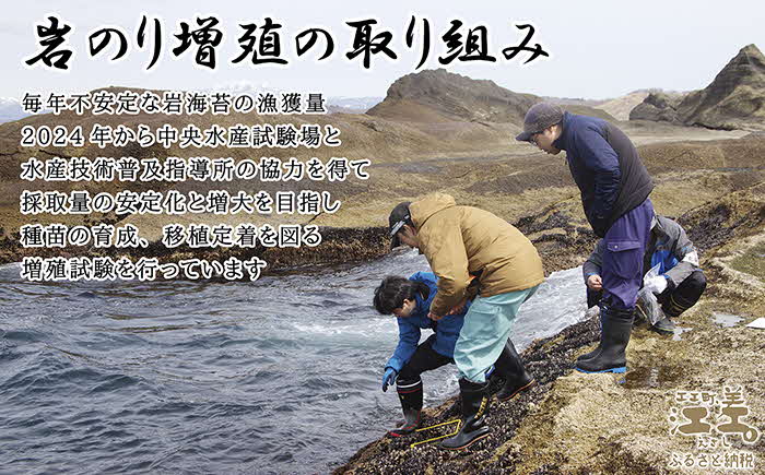 【先行予約 全サイト計10セット限定出品！3月配送】かもめ島の岩海苔〈天然・無添加・手摘み手打ち〉全形10枚　数量限定　北のハイグレード食品2022選定「江差名産 黒のり」　希少な「天然岩ノリ」だけで漁師が手作り　最高級の生干し板海苔　漁師めし　絶品海苔弁当　最高のおにぎり　国産海藻　北海道日本海