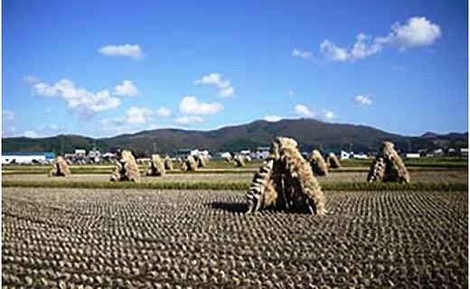 北海道上ノ国町産 令和5年産「自然乾燥米ななつぼし」 10㎏