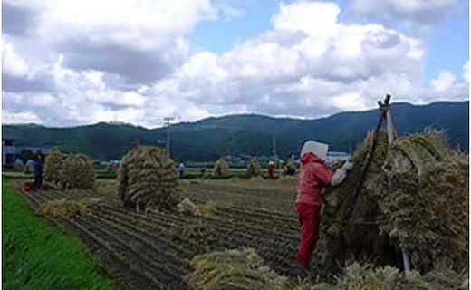 北海道上ノ国町産 令和6年産新米！自然乾燥米「ななつぼし」　10㎏【10月･11月･12月定期便】