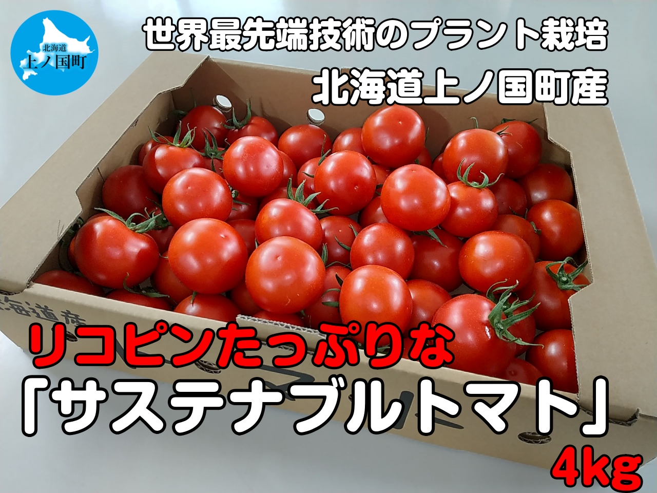 北海道産 上ノ国町寅福菜園の高リコピントマト「サステナブルトマト」4㎏