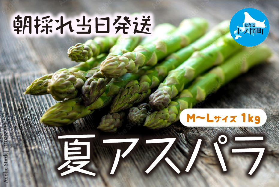 【2026年夏発送】わかさ農園の朝採り夏アスパラ　M～L（1㎏）　朝採れ　農家直送　新鮮　グリーンアスパラ　夏野菜　旬野菜　シャキシャキ　とれたて　北海道産