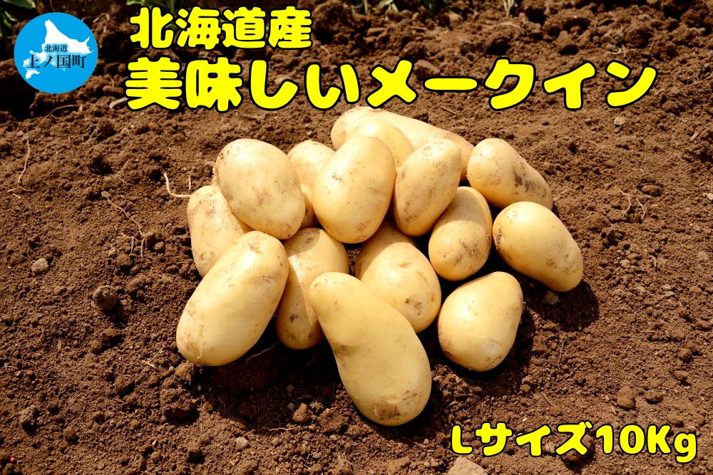 【2025年度産】北海道上ノ国町産 おいしい馬鈴薯「メークイン」　Lサイズ×10㎏