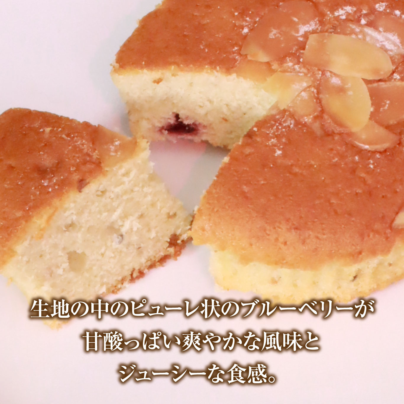 もがり屋のブルーベリーマドレーヌ（10個）　洋菓子　菓子　ケーキ　焼き菓子　お土産　プレゼント　個包装