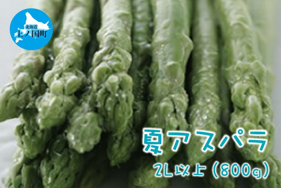 【2025年夏発送】北海道上ノ国町産 刀祢農園の朝採り夏アスパラ　2L以上（800g）