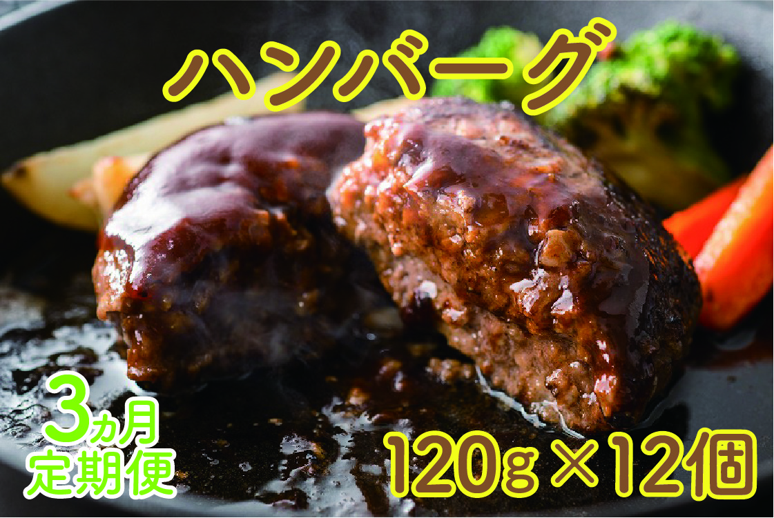 北海道産 上ノ国町 フルーツポークのハンバーグ 120g×12個【3ヶ月定期便】