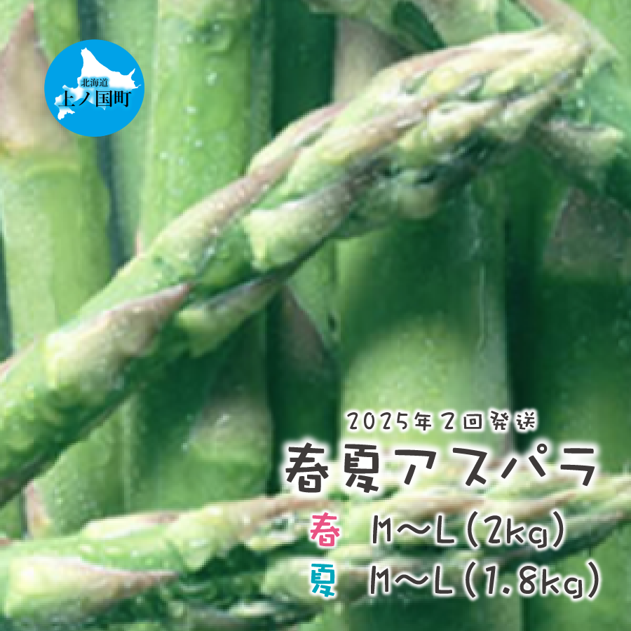 【2025年春夏発送】北海道上ノ国町産 朝採り当日発送 刀祢農園の春アスパラM～L（2㎏）と夏アスパラM～L（2㎏）の2回お届け