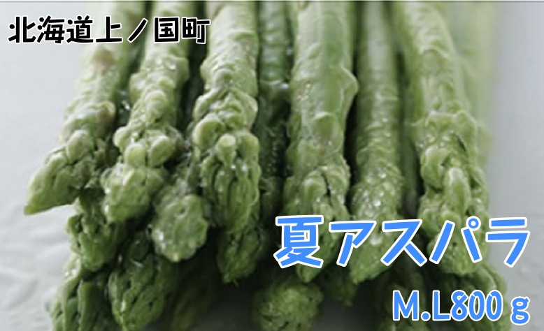 【2026年夏発送】刀祢農園の朝採り夏アスパラ　M～L（800g）　朝採れ　農家直送　新鮮　グリーンアスパラ　夏野菜　旬野菜　シャキシャキ　とれたて　北海道産