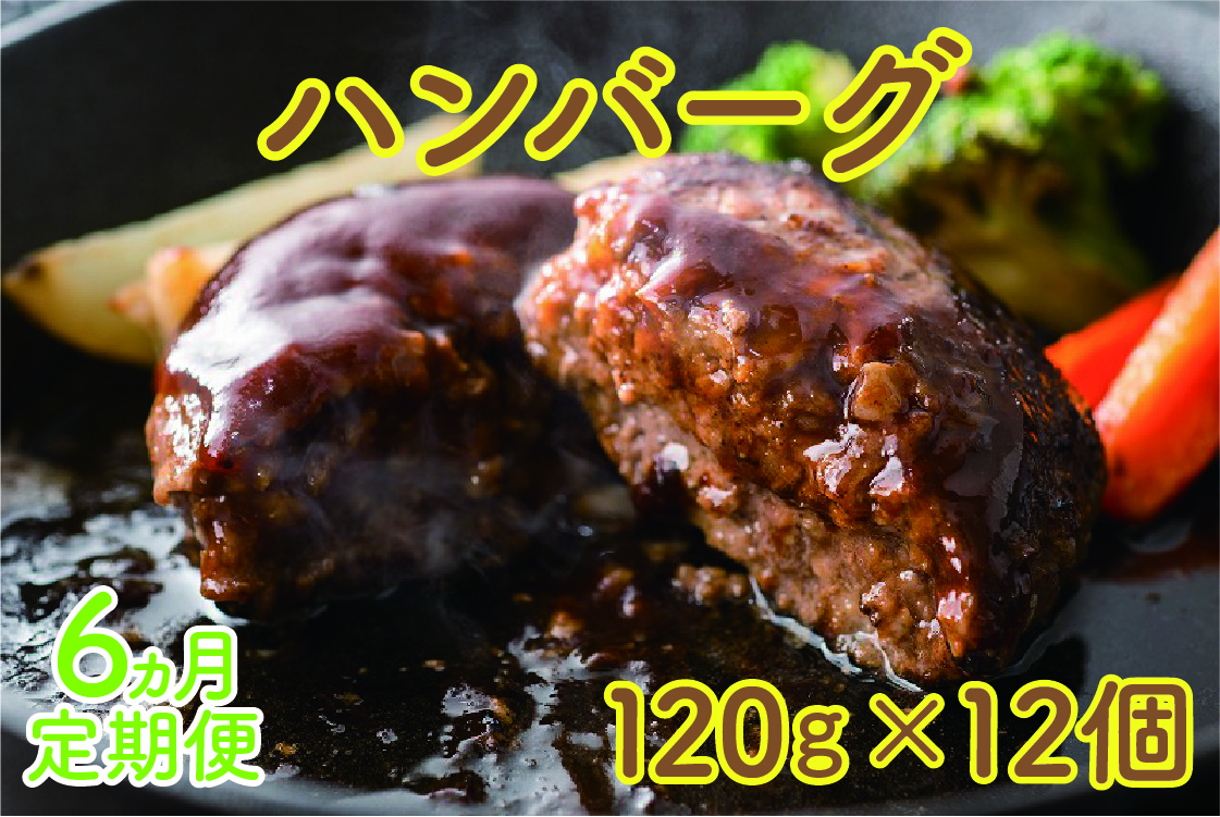 北海道産 上ノ国町 フルーツポークのハンバーグ 120g×12個【6ヶ月定期便】