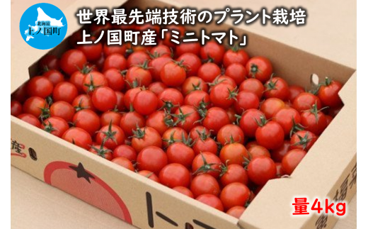 【2024年】北海道上ノ国町産 寅福菜園のミニトマト（4㎏）
