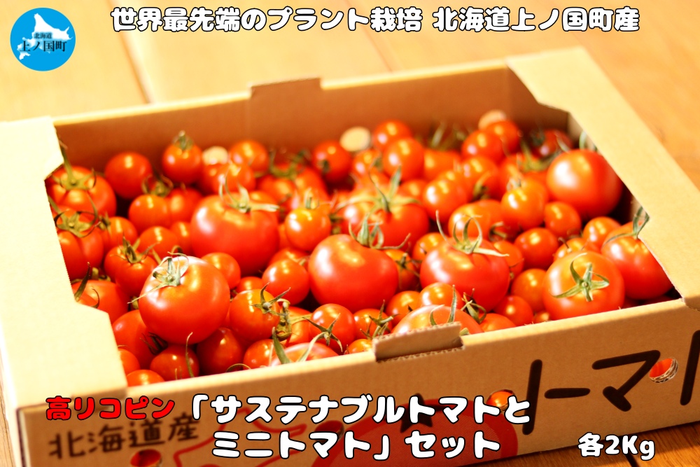 【2024年】北海道上ノ国町産 寅福菜園のトマト「サステナブルトマト＆ミニトマトセット」 各2㎏