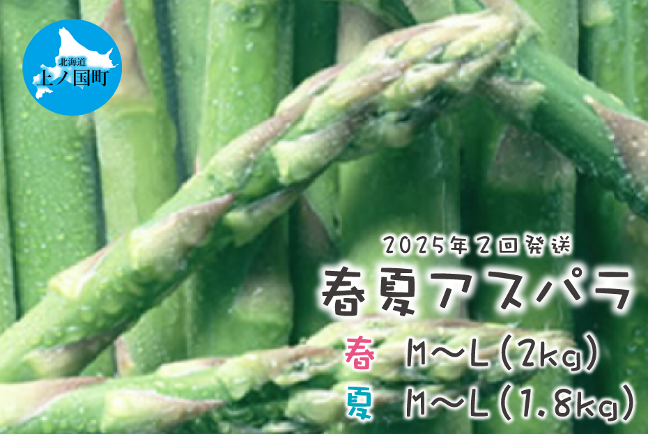 【2025年春夏発送】北海道上ノ国町産 朝採り当日発送 刀祢農園の春アスパラM～L（2㎏）と夏アスパラM～L（2㎏）の2回お届け