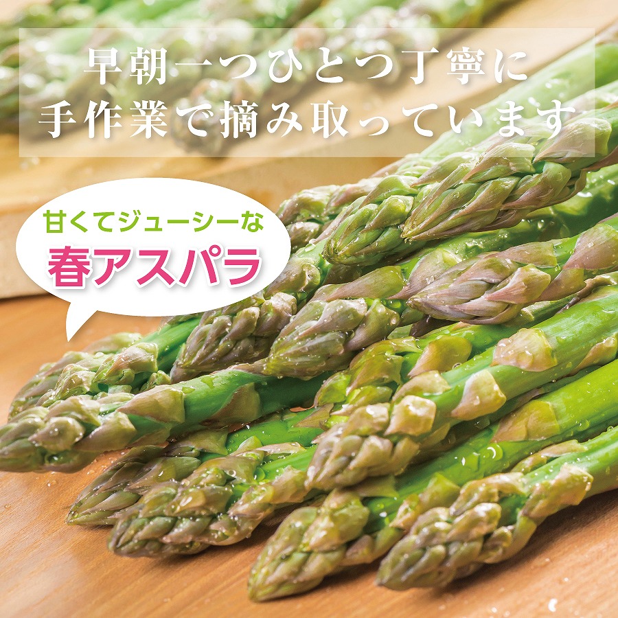 【2026年春発送】北海道上ノ国町産 刀祢農園の春アスパラ　M～L（800g） 北海道産　朝採れ　農家町送　グリーンアスパラ　春野菜　アスパラ　甘い　特産品