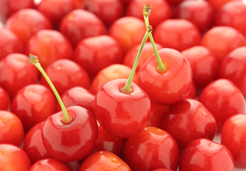 ã2026幎çºéãããšãææš¹åã®å®å¿ã»å®å
šããããããŒïŒäœè€éŠïŒãã350gÃ2ããã¯ããµã¯ã©ã³ããæå®ããã§ãªãŒãæç©ãåœç£ãããããŒãç£å°çŽéãããããŒãé£ã¹é ãããããŒãåæµ·éç£