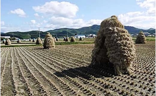 北海道上ノ国町産 令和5年産「自然乾燥米２品種（ななつぼし＆ふっくりんこ）セット」 各5㎏