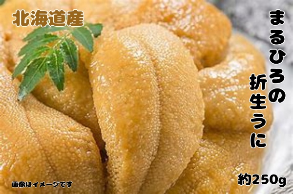 北海道産 上ノ国町まるひろの 折生うに 約250g