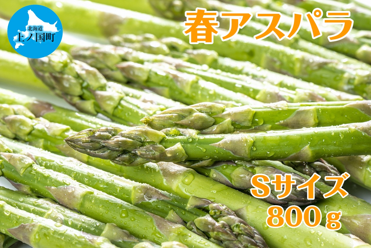 【2026年春発送】寅福菜園の朝採り春アスパラ　S（800g）　グリーンアスパラ　朝採れ　農家直送　新鮮　甘い　春野菜　旬野菜　特産品　北海道産