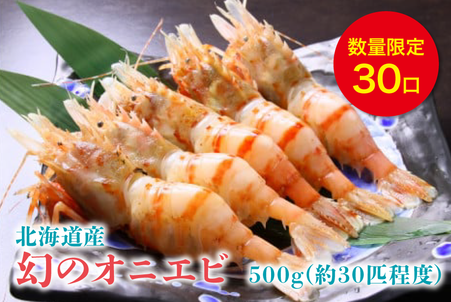 北海道産 上ノ国町 数量限定「幻のオニエビ」　500g（約30匹程度） 3月、4月季節限定