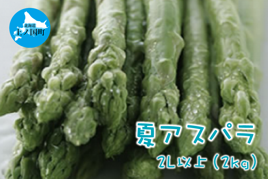 【2025年夏発送】北海道上ノ国町産 朝採り当日発送 刀祢農園の夏アスパラ　2L以上（2㎏）