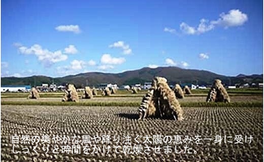 北海道上ノ国町産 令和6年産新米！自然乾燥米「ななつぼし」　10㎏【10月･11月･12月定期便】