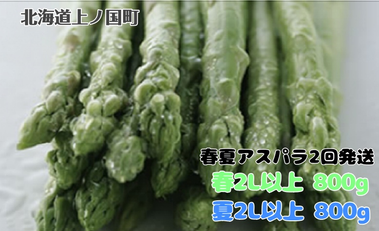 [2026年春夏発送]北海道上ノ国町産 刀祢農園の朝採れ春アスパラ2L以上(800g)と夏アスパラ2L以上(800g)の2回お届け