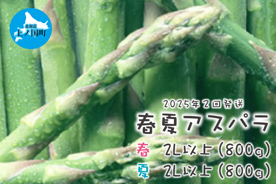 【2025年春夏発送】北海道上ノ国町産 刀祢農園の朝採れ春アスパラ2L以上（800g）と夏アスパラ2L以上（800g）の2回お届け