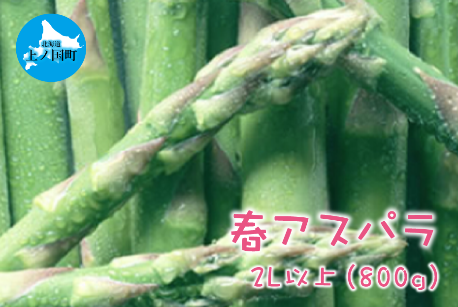 【2025年春発送】北海道上ノ国町産 朝採り当日発送 刀祢農園の春アスパラ　2L以上（800g）